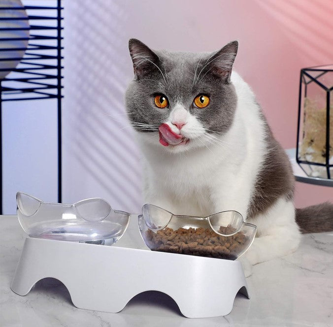 PurrBowl Orthopedic Anti-Vomiting Cat Feeder