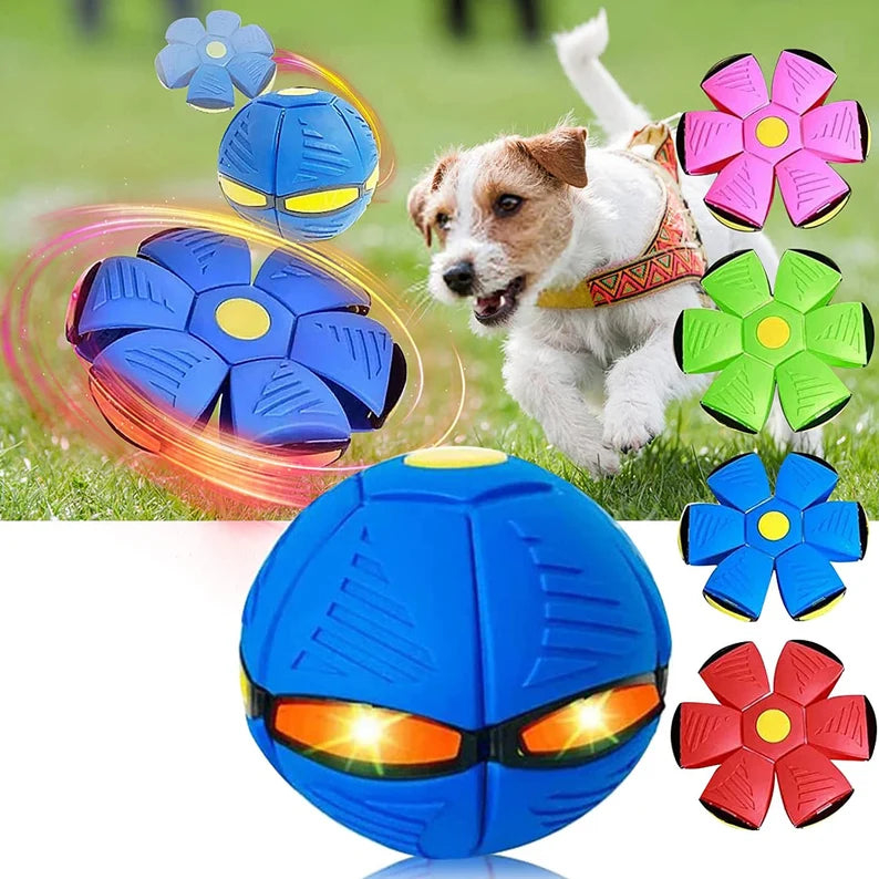 Pet Toy Flying Saucer Ball